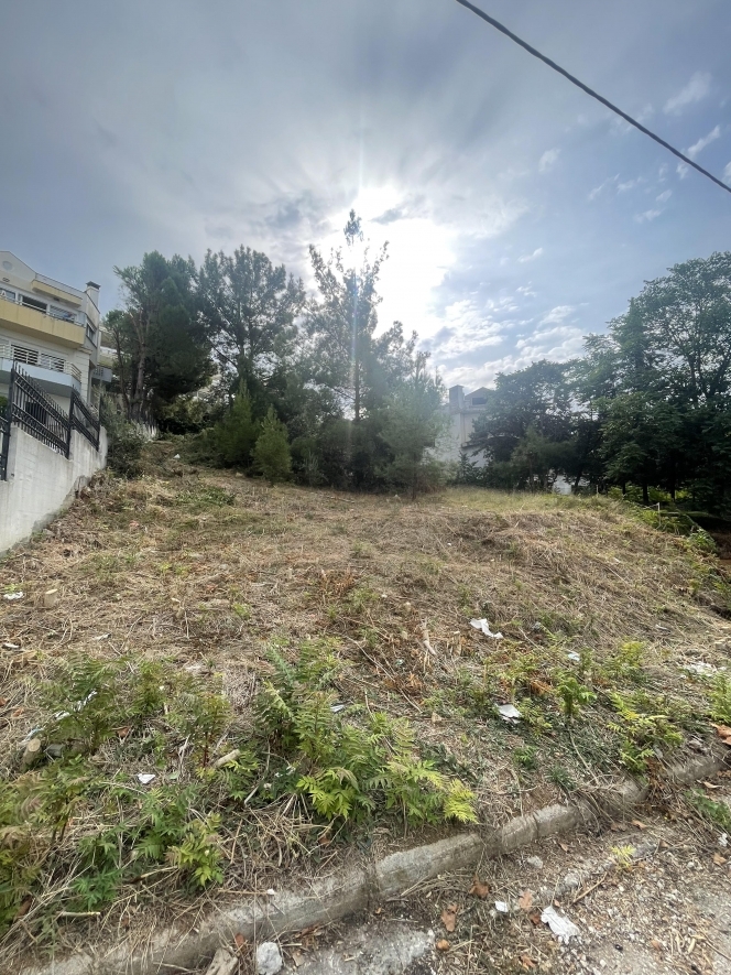 property-img