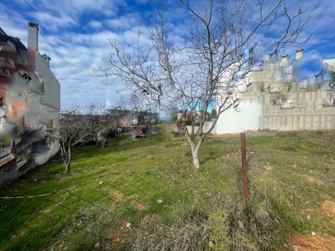 property-img